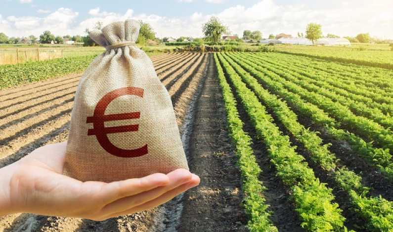 Iluzia fondurilor europene în sectorul agricol: Un decalaj între politici și realitățile de pe teren