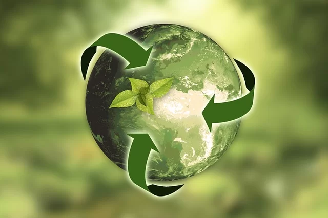 Revoluția verde a României. Cum un singur ambalaj poate schimba totul! Ministerul Mediului dezvăluie planul de salvare a planetei!