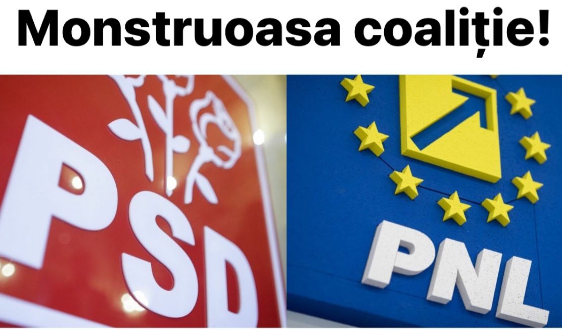 PSD și PNL pregătesc unificarea alegerilor locale cu cele europarlamentare