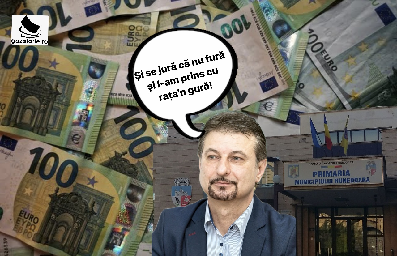 Rezultate șocante ale auditului la împărăția Hunedoarei – Grup organizat la butoane