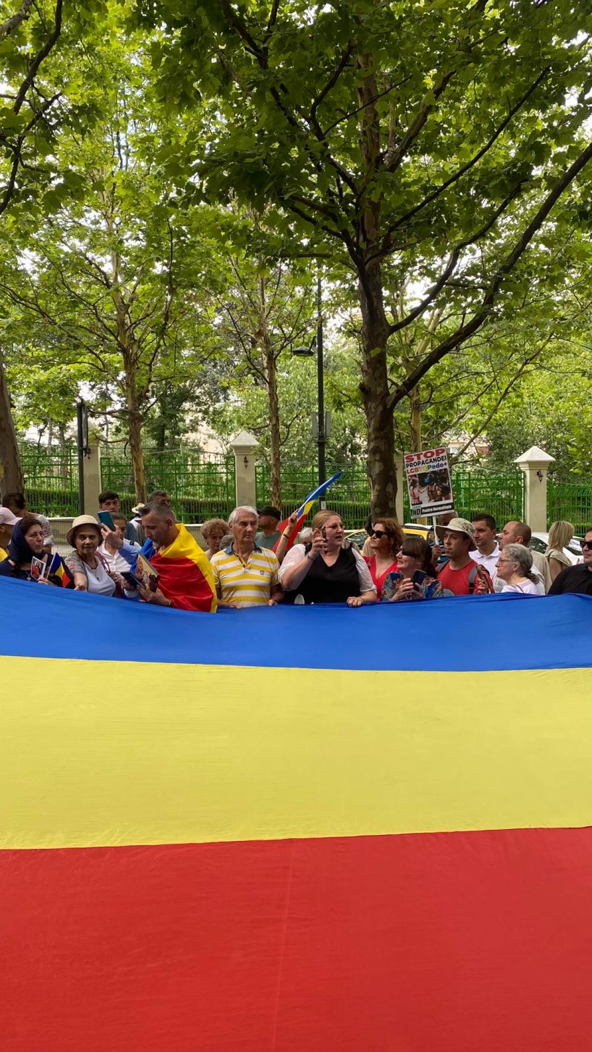 Diana Șoșoacă – ‘Pentru România se impune un președinte gay / De-aia îi impun pe Lasconi, pe Geoană!’