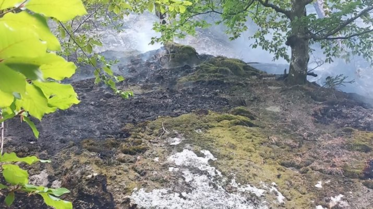 Zona este greu accesibilă, iar pompierii au solicitat intervenția unui elicopter