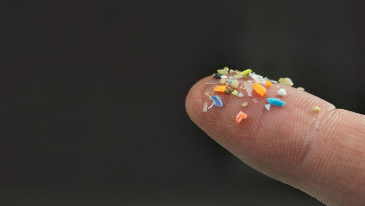 'Nu a mai rămas niciun loc neatins'. Microplastice ajung chiar și în creier (studiu)