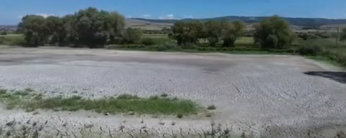 VIDEO Delta din Carpați este la un pas de dispariție: Situația este disperată!/ Imagini cu adevărat apocaliptice