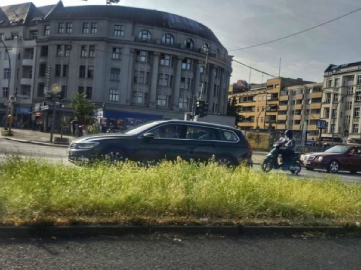'Dacă primarii din București ar face așa ceva, ar fi răstigniți': jurnalist român celebru, uimit de felul cum se administrează spațiile verzi din Berlin