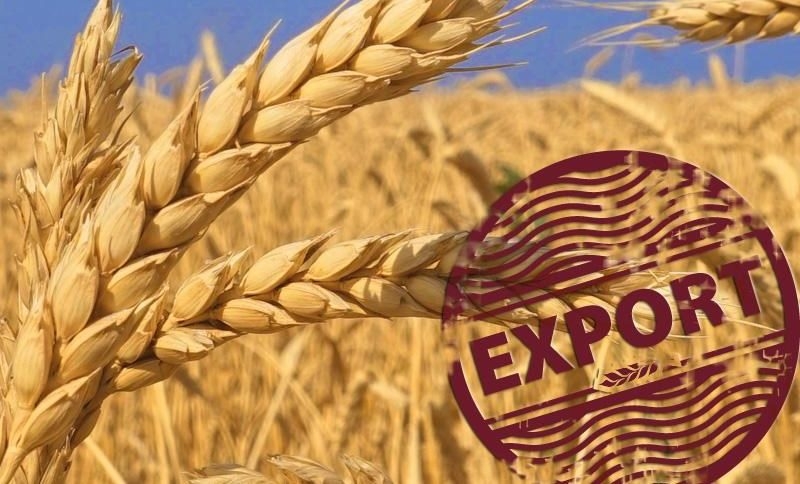 Cotaţiile grâului înregistrează o scădere pe fondul diminuării îngrijorărilor legate de aprovizionarea din Marea Neagră