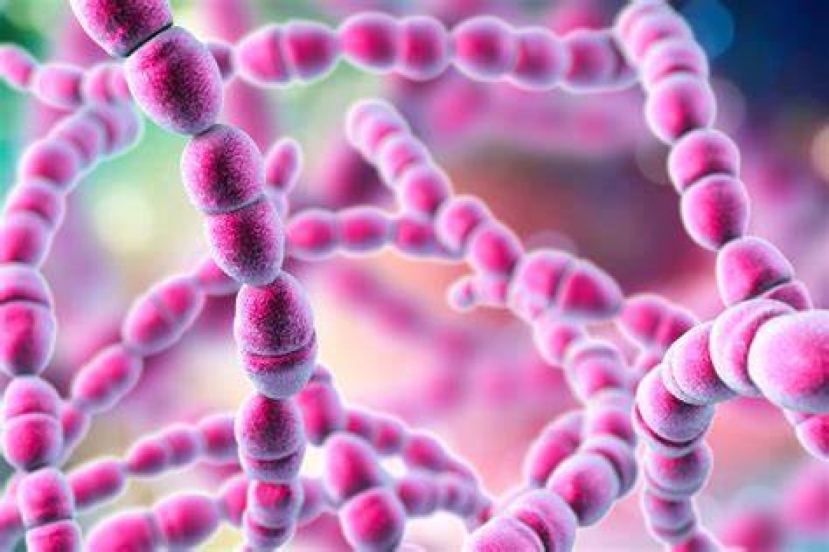 Alertă în Bulgaria: diagnosticat primul caz de holeră după un secol