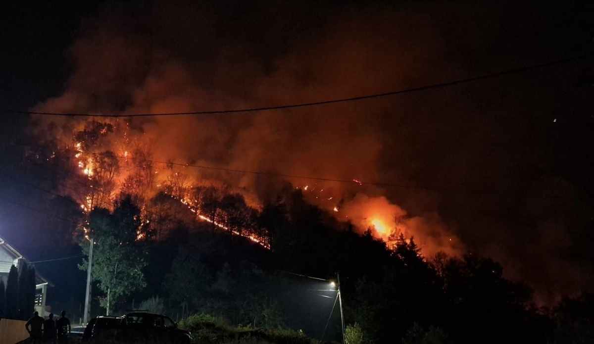 VIDEO Un grup de petrecăreți a dat foc unui versant din Vâlcea, incendiul s-a extins pe 20 hectare
