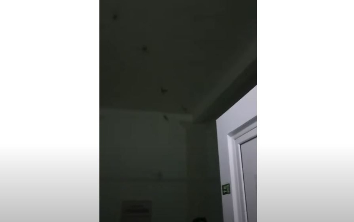 VIDEO FOTO: Pompierii Inter vin la Secția de Cardiologie a Spitalului Sfântul Spiridon din Iași Pentru a Captura Liliecii