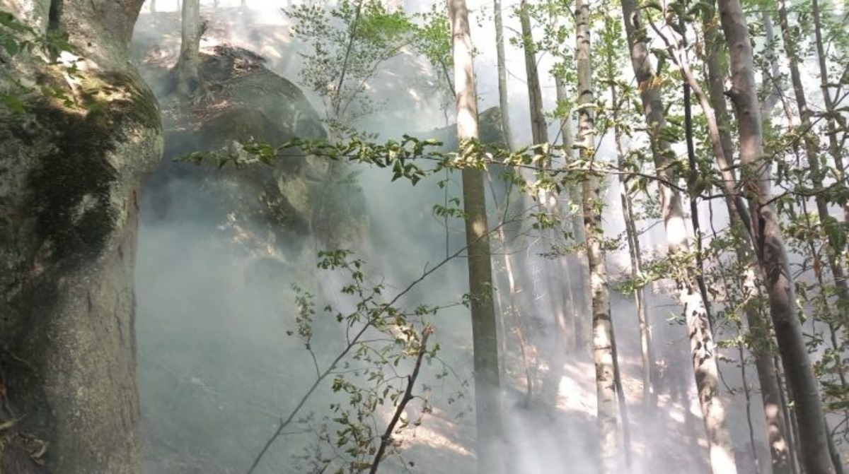VIDEO Pădurea de la Băile Olăneşti a luat foc din nou; arde frunză uscată pe un hectar