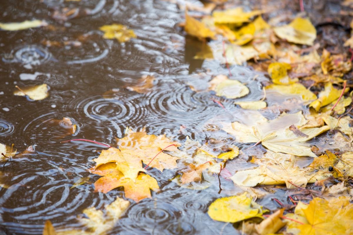 Continuarea ploilor și vești bune de la meteorologi pentru București