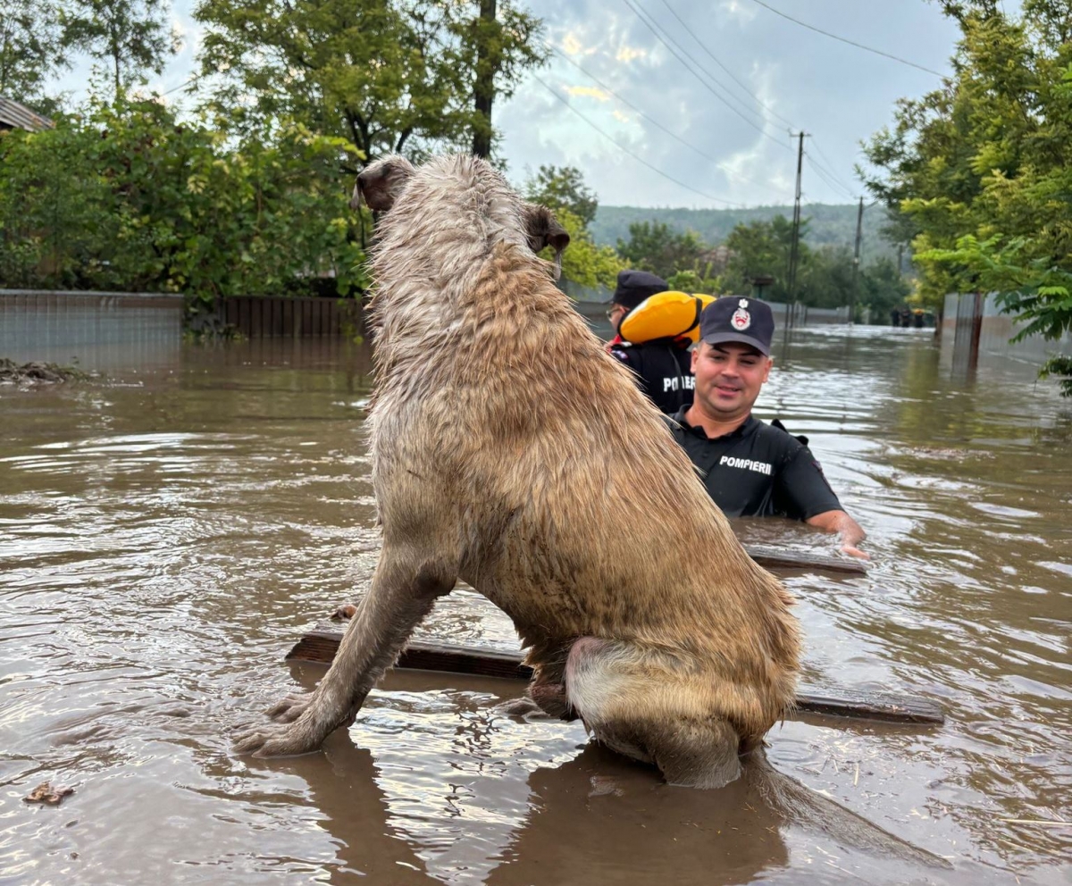Coșmarul continuă – Alertă de viituri în județe, cu coduri roșii și portocalii