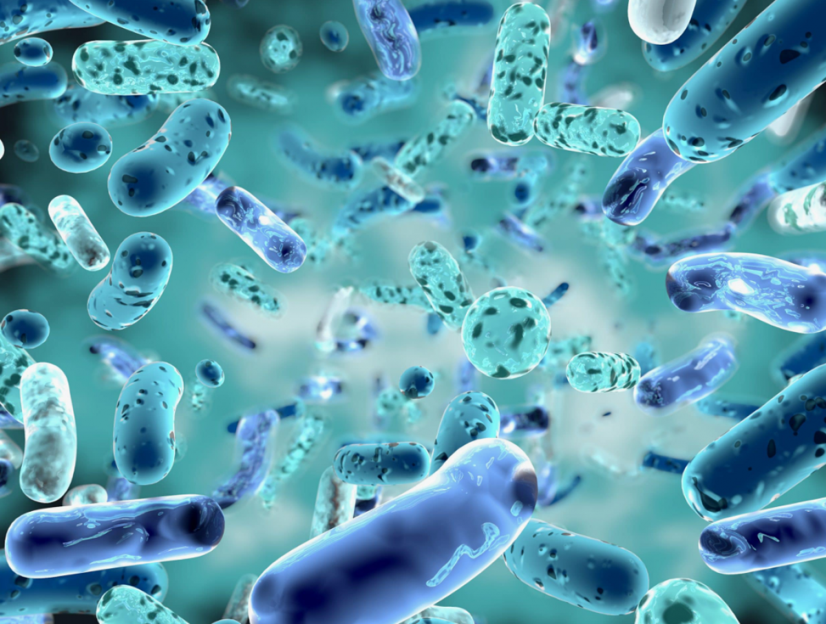 Bacteriile care ne amenință viitorul: Rezistența la antibiotice devine o urgență globală