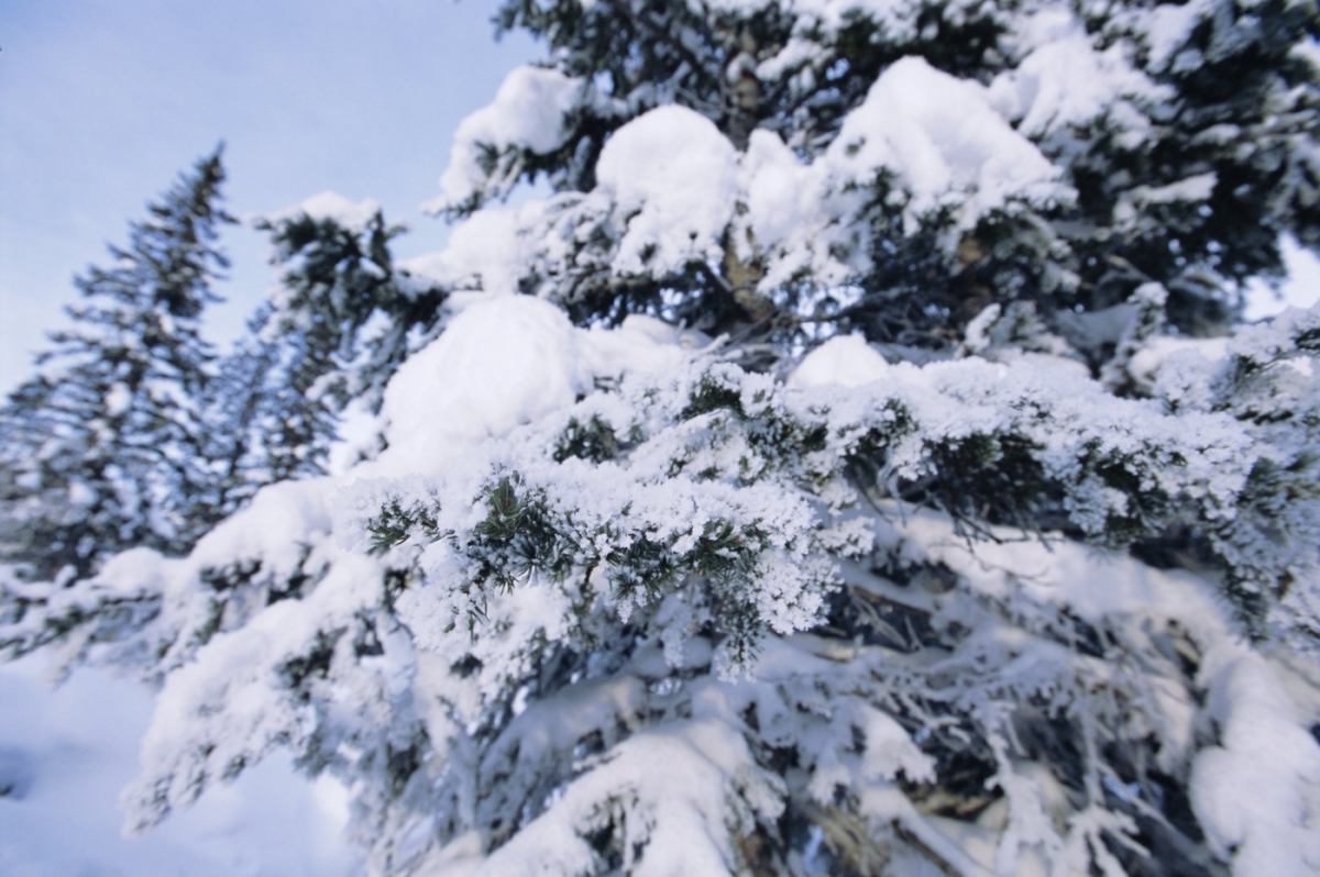 Iarna își face simțită prezența în România: Precipitații neașteptate în weekend și temperaturi negative