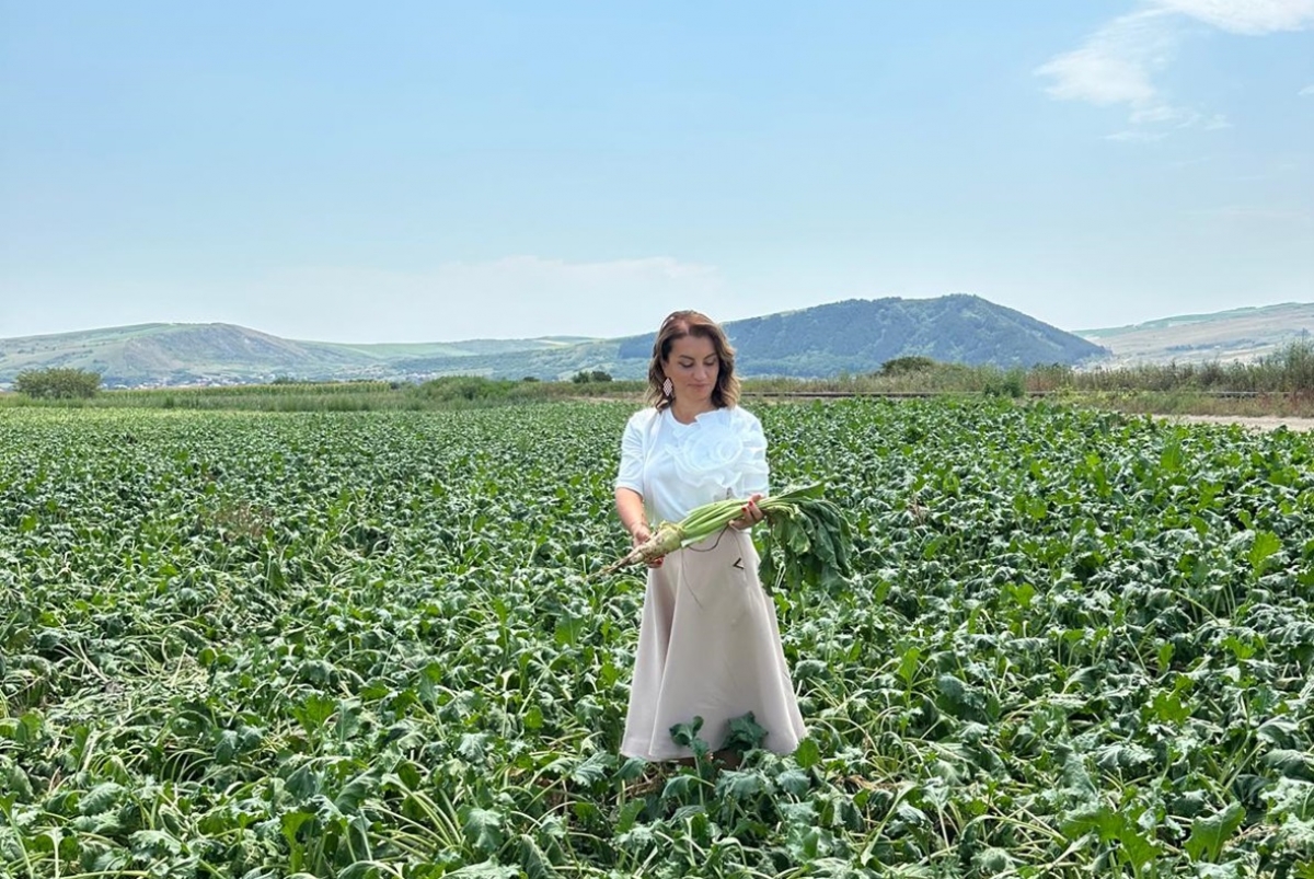 Mihaela Neagu: ‘Lipsa cererii de melasă și borhot în România’