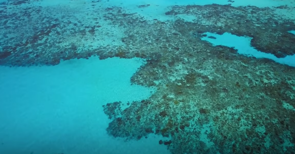 Un fenomen terifiant în ocean: Impactul său asupra planetei noastre