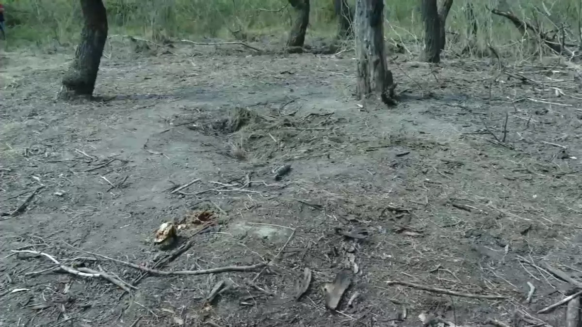 Fragmente de dronă rusească descoperite la Plauru, în Tulcea