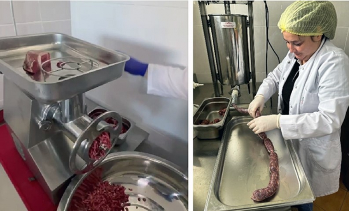 Foto: România inaugurează primul laborator dedicat co-creării cărnii hibride