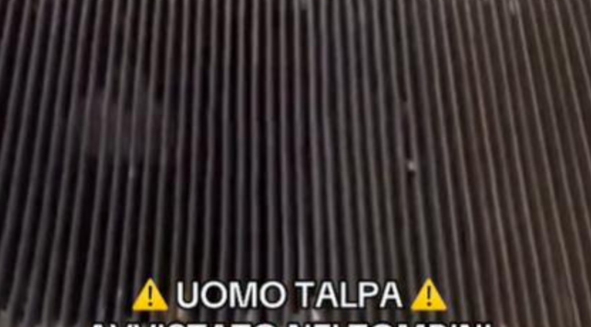 Cum a explodat ‘Omul cârtiță’ pe TikTok: intervenția poliției după succesul fulminant