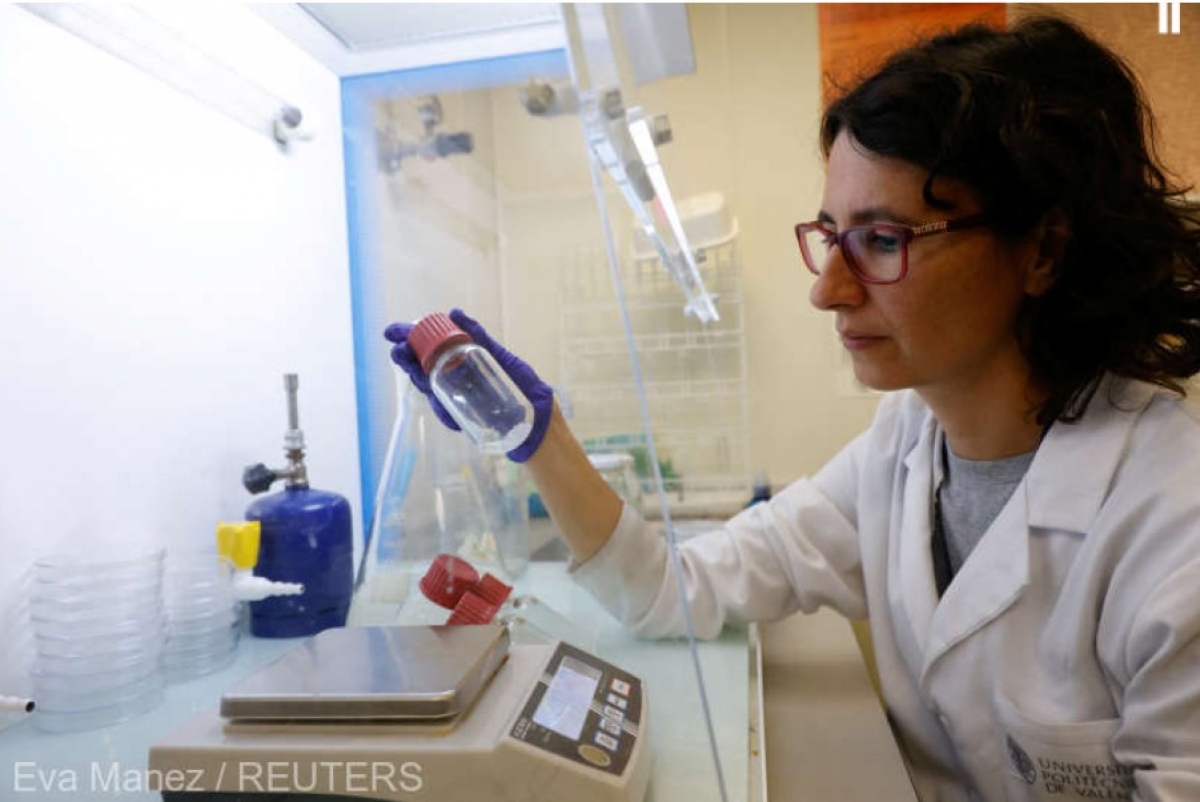 O mamă spaniolă și fiica ei antrenează bacterii pentru a reabilita frescele unei biserici