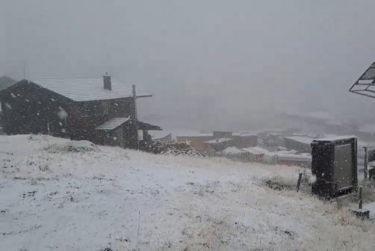 Prima zăpadă din acest an a acoperit România