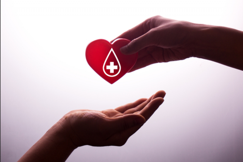 Anemia cronică: Ghidul inovator al Unității de sânge pentru îngrijirea pacientului