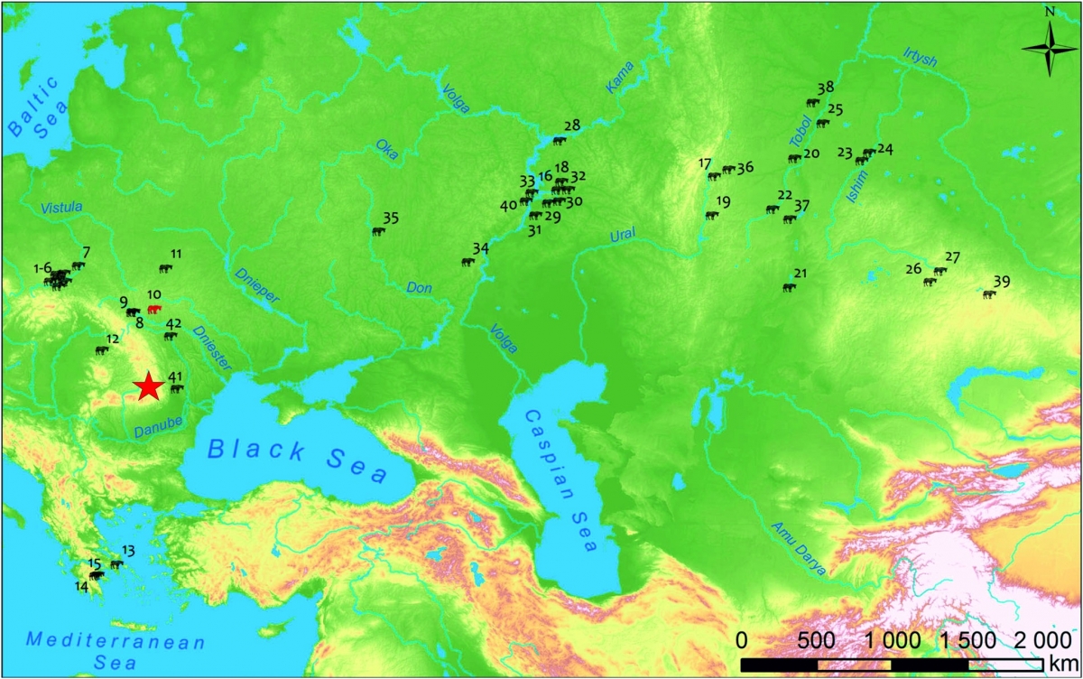 O descoperire spectaculoasă în România ar putea răsturna istoria țării: ‘E uimitoare!’