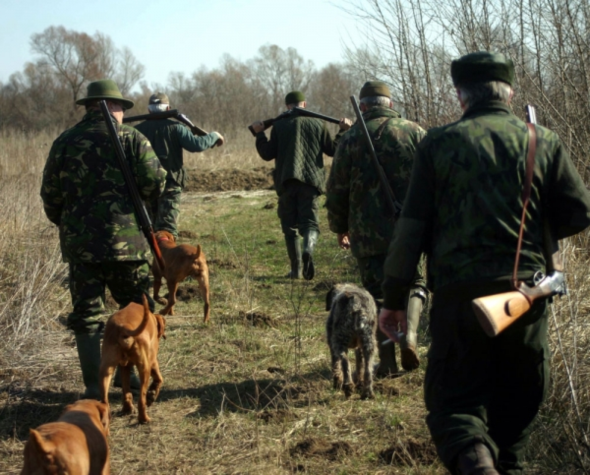 Operațiuni împotriva braconajului în Ilfov și Giurgiu: Captură de animale sălbatice și echipamente ilegale eliminată
