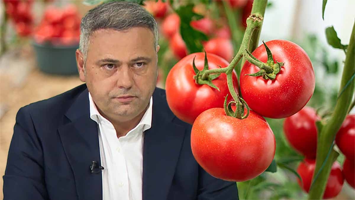 Ajutor surpriză pentru fermierii de roșii din România. Ministrul Agriculturii dezvăluie fonduri substanțiale pentru anul următor