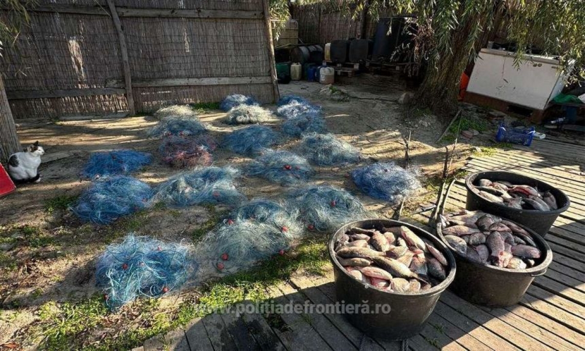 DSVSA Tulcea: Peştele din Deltă e bun de consum; mirosul greu reclamat de pescari- cauzat de adâncimea apei