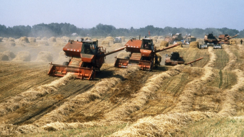 Exporturile de cereale ale UE au scăzut cu o treime în acest sezon, România este cel mai mare exportator