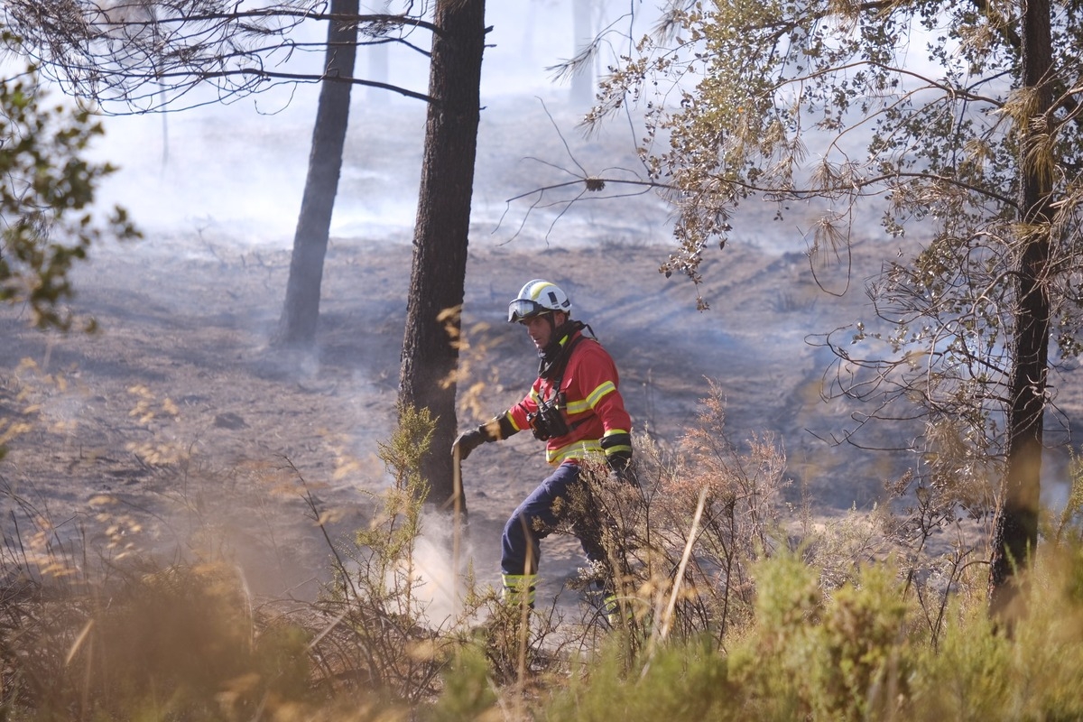 Incendiu într-o pădure din județul Vâlcea; arde vegetaţie uscată pe o suprafaţă de circa 15 hectare