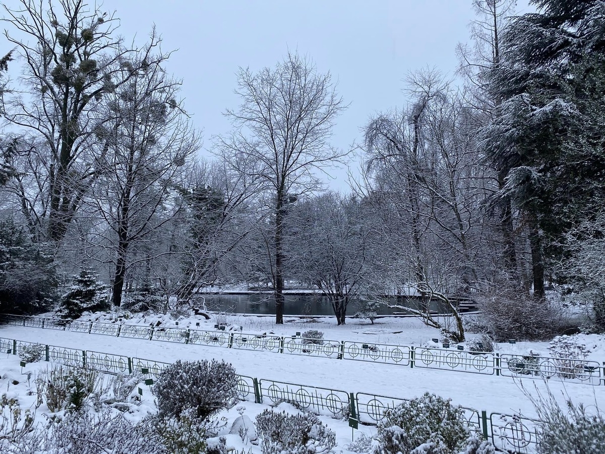 Ultimă oră – Meteorologii au emis cod galben de vreme rea: ninsori viscolite și vânt puternic în mare parte din țară