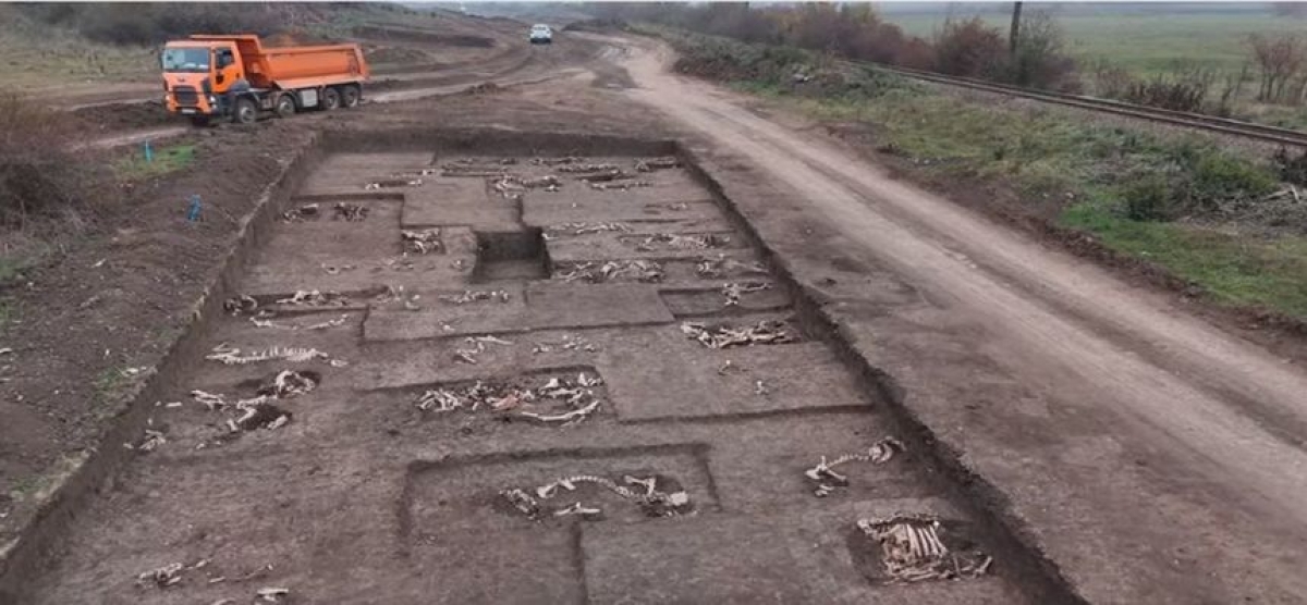 Descoperire uluitoare pe şantierul căii ferate Timişoara-Arad: un cimitir sarmatic vechi de 1.900 de ani, schelete sau locuinţe, găsite de arheologi