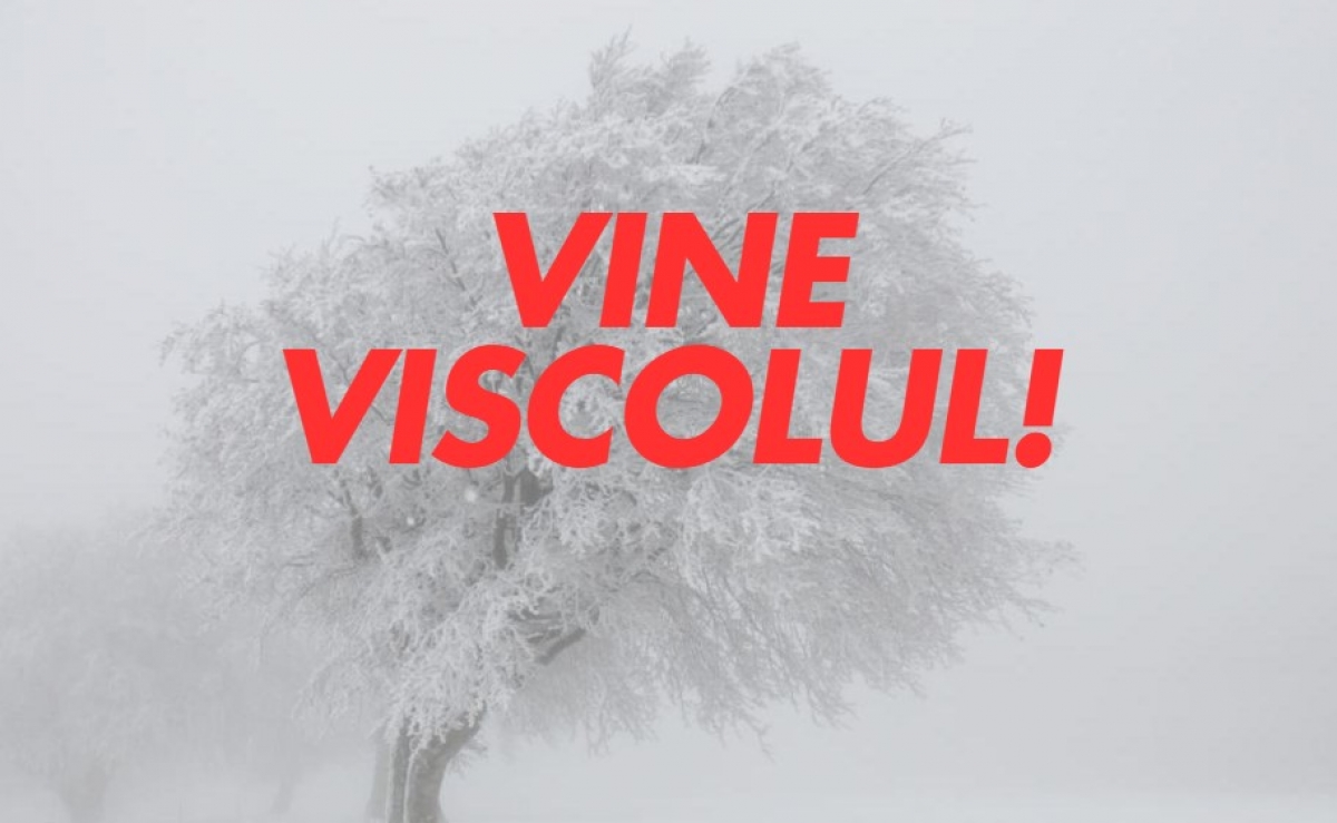 Vine un viscol puternic în România: 17 zile de vifor și ninsori în luna ianuarie / Calendar (EaseWeather)
