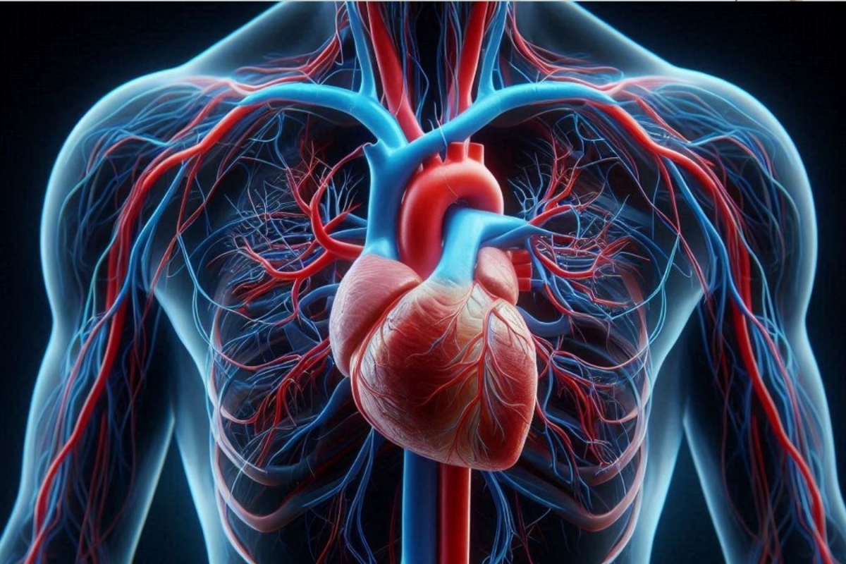 Inovaţie biomedicală de ultimă generaţie: O stea de mare care îţi ascultă inima