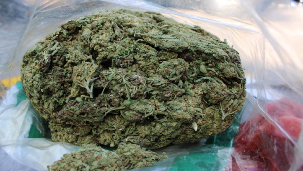 11 kilograme de canabis, confiscate în timp ce erau transportate spre piața neagră: descoperire spectaculoasă a autorităților