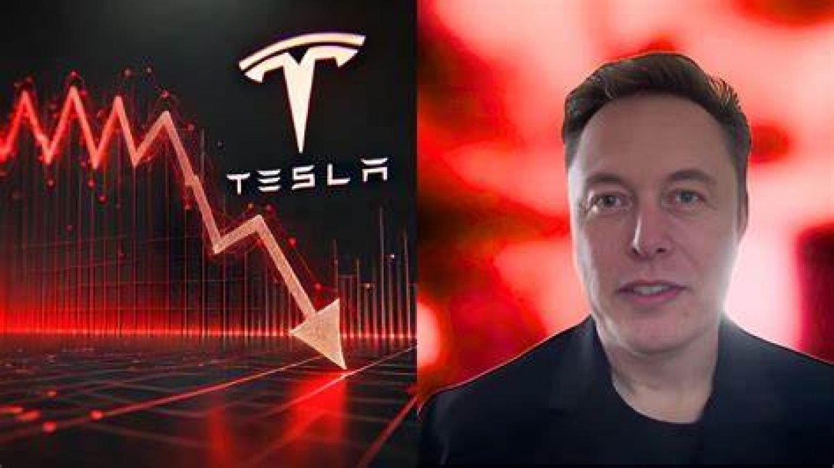 Compania lui Musk pierde tot mai mult teren în domeniul auto: vânzările Tesla se prăbușesc în Europa