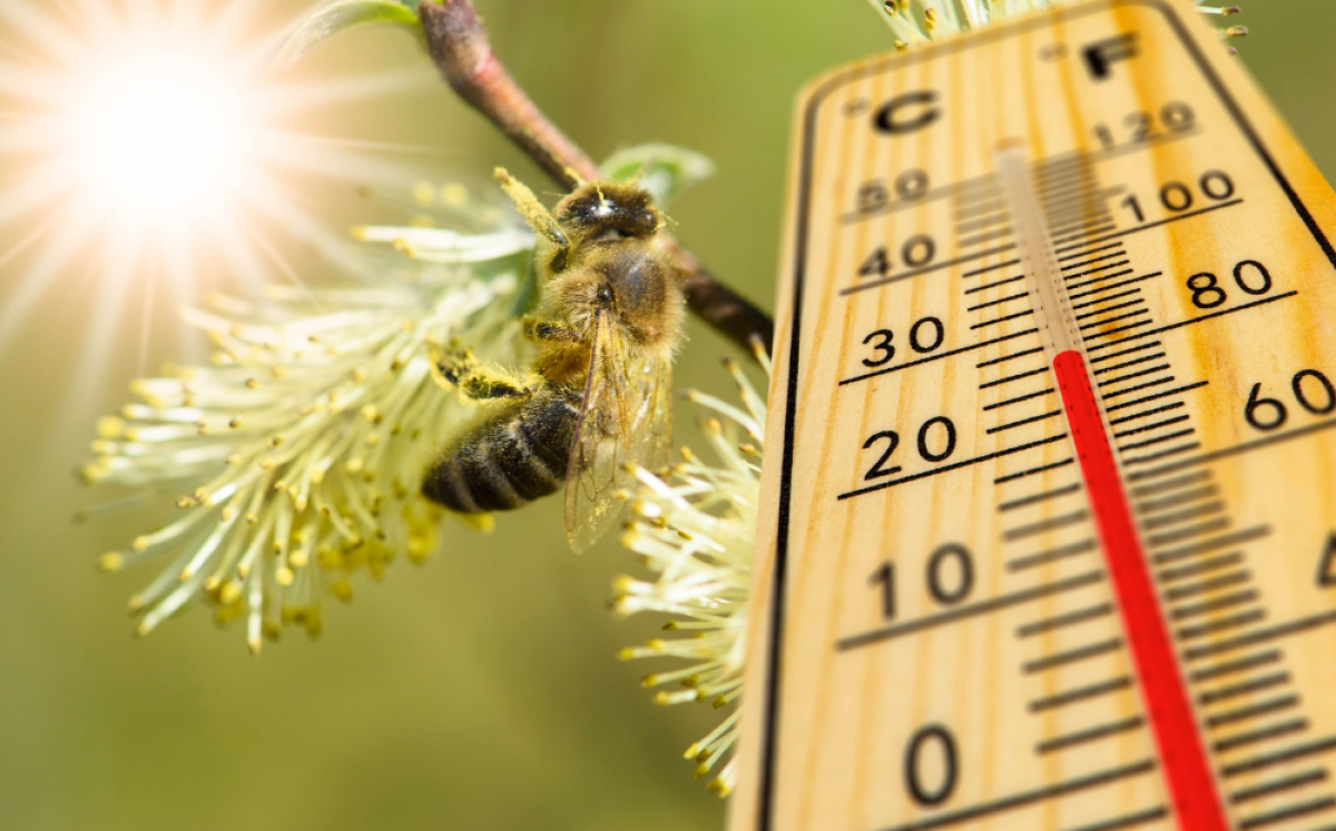 Când ne eliberăm de frig? Anunțul meteorologilor