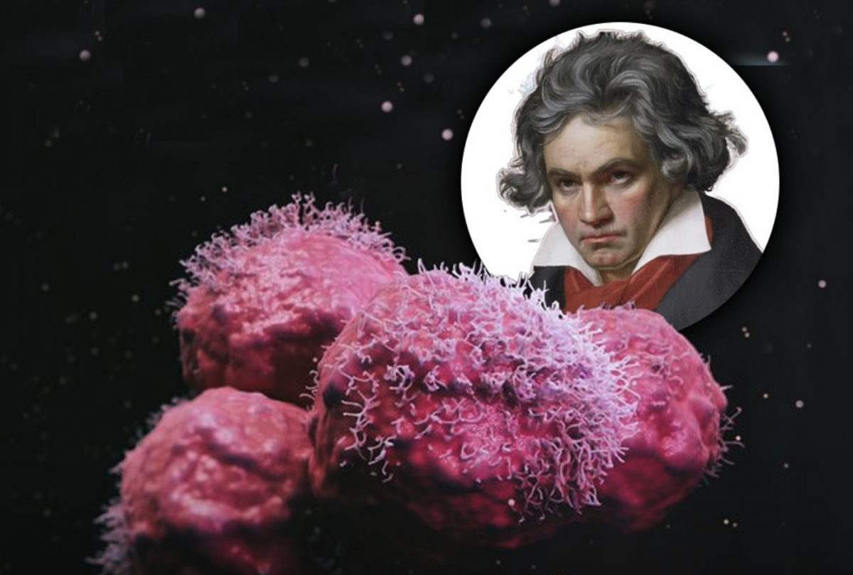 Noile cercetări demonstrează ceva uimitor: simfonia a V-a a lui Beethoven are capacitatea de a lupta împotriva cancerului