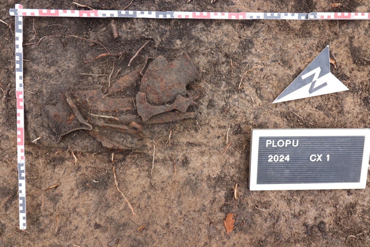 FOTO Un profesor a descoperit un depozit de arme și unelte agricole de fier din perioada medievală