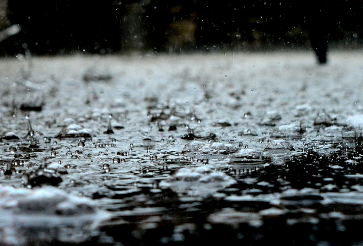 Ploi abundente și vânt intens! Meteorologii prevăd o schimbare semnificativă a vremii – județele afectate / HARTĂ
