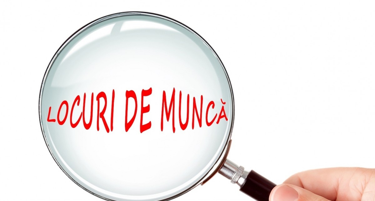 Oficial BNR: România are un deficit de forţă de muncă persistent şi mai sever decât media UE