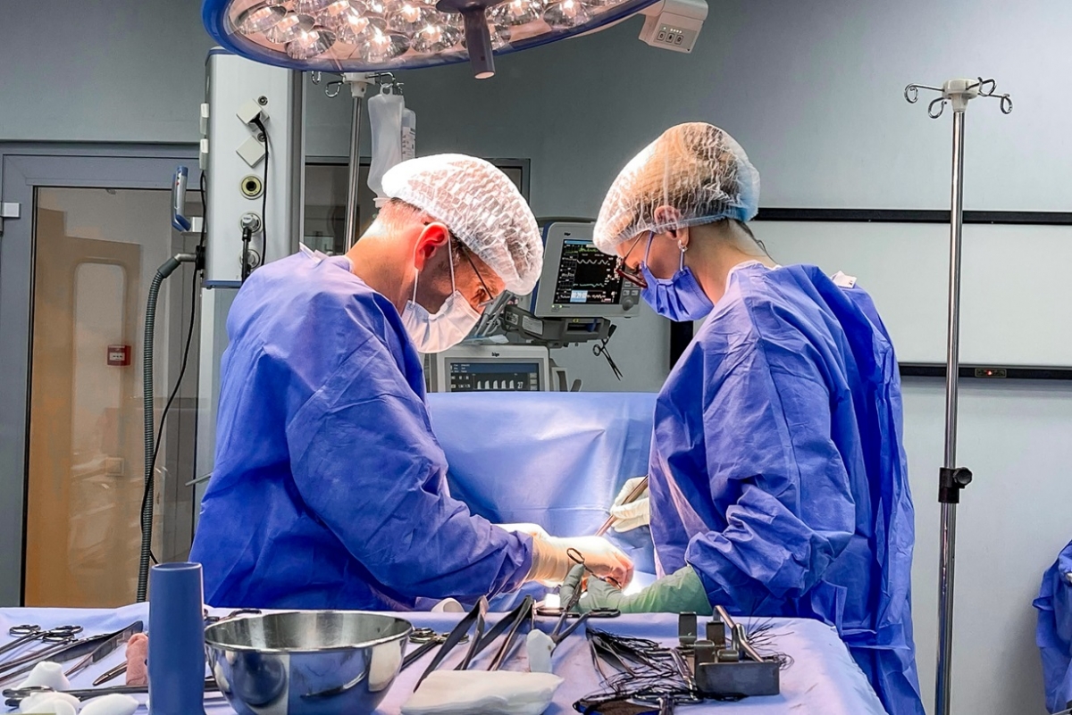 Satu Mare: Medici germani au realizat prelevarea organelor de la o pacientă în moarte cerebrală