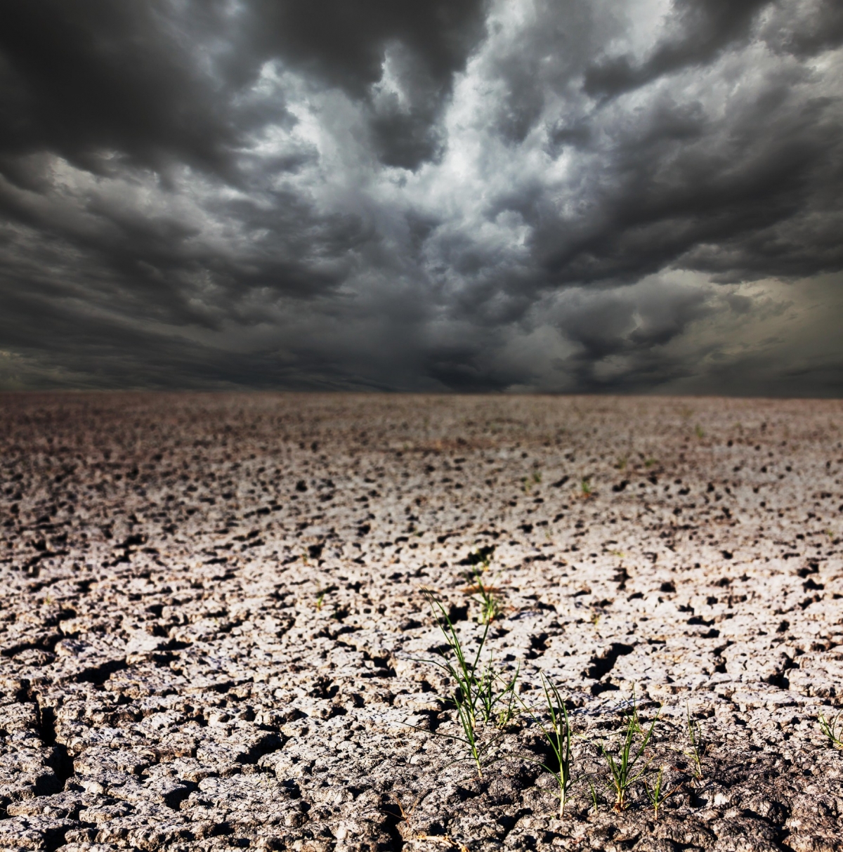 Meteorologii au emis prognoza pe termen lung: România, lovită de cel mai 'păcătos' fenomen al verii
