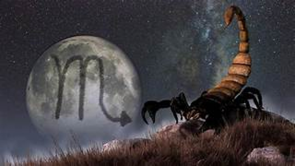 Compatibilitatea zodiei Scorpion cu toate zodiile – Relații perfecte și combinații de evitat