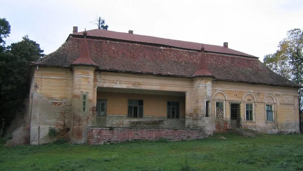 VIDEO Învie una dintre bijuteriile arhitecturale ale României: Conacul plin de glorie, schimbat de comuniști, va fi reconstruit