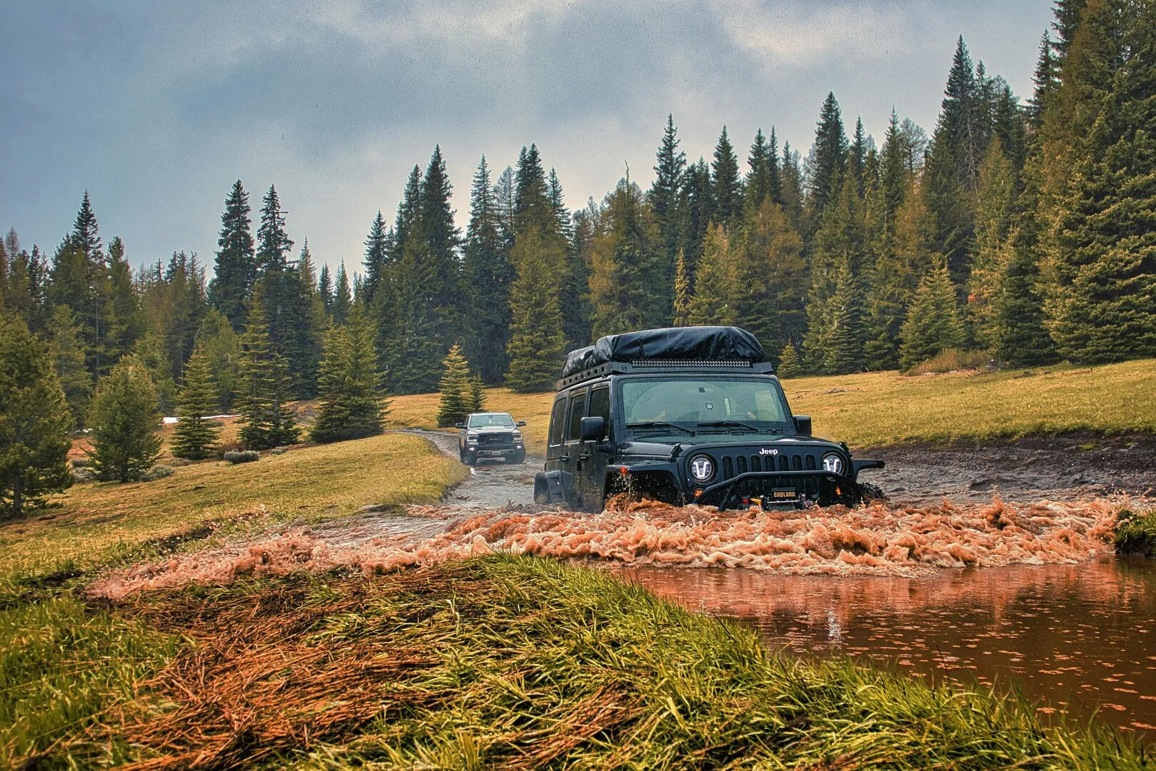 Turiști cehi amendați cu 12.000 de lei după ce au circulat ilegal cu mașini off-road în Poiana Mărului din Caraș-Severin