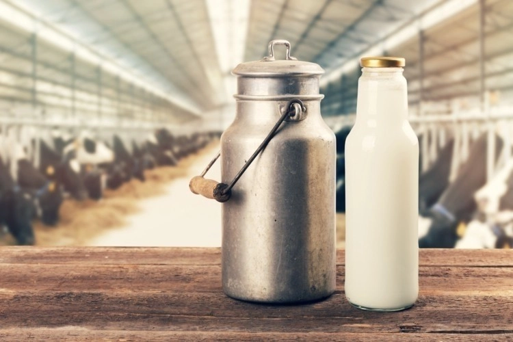 Compania Agroserv Măriuţa, care deţine brandul Lăptăria cu Caimac, trece pe profit în primul semestru şi raportează o cifră de afaceri de 50,6 milioane de lei, mai mare cu 20% faţă de aceeaşi perioadă a anului trecut