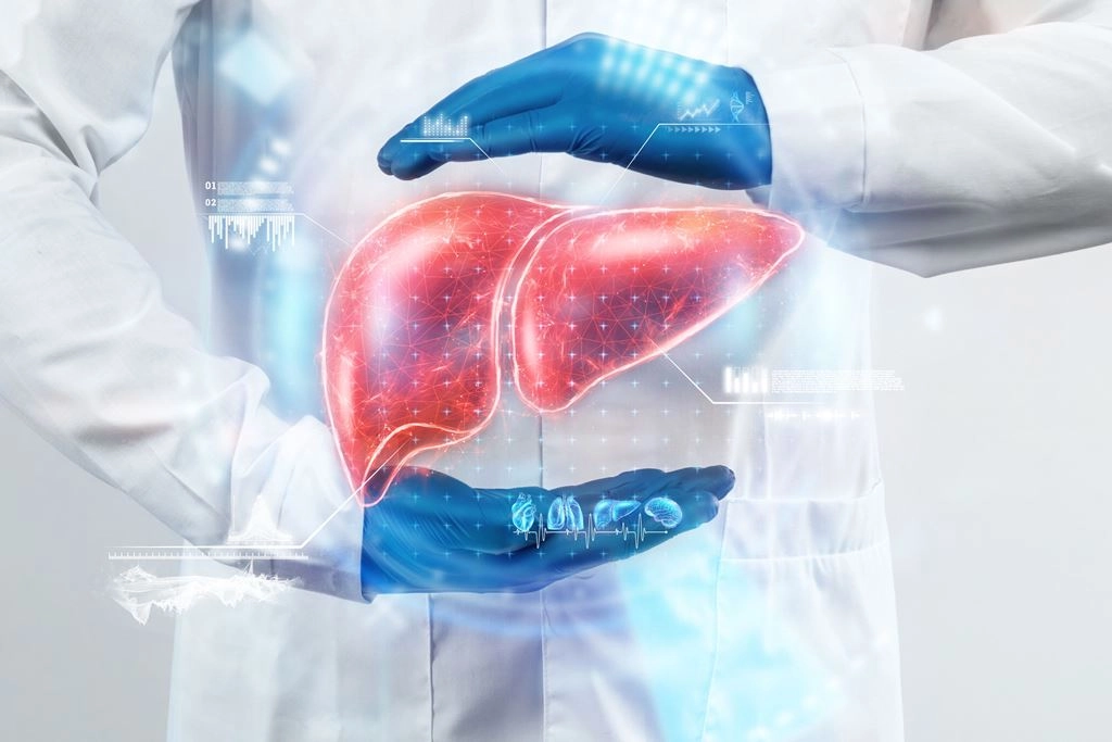 Mecanismul prin care congestia hepatică duce la fibroză şi cancer, identificat de cercetători